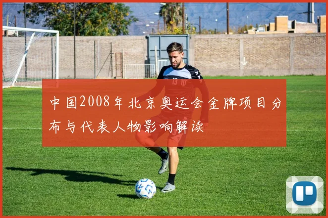 中国2008年北京奥运会金牌项目分布与代表人物影响解读